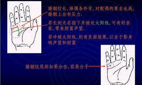 【手相婚姻线】手相算命图解：婚姻线手相图解,易经网推荐手相婚姻线