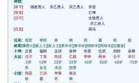 易经网推荐:命理学从业者的做法,紫微斗数2024