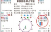 易经网推荐文墨天机紫薇斗数盘 文墨天机预测师版亮点,紫微斗数2024