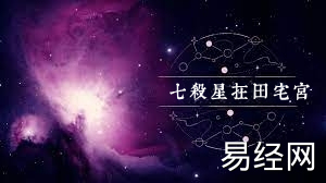 易经网推荐七杀星入驻田宅宫：住宅地形起伏，附近环境欠佳，置业需谨慎,紫微斗数