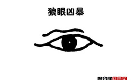 【面相眼睛】狼眼面相图解,易经网推荐面相