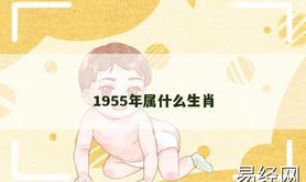 【2024生肖】1955年属什么生肖,易经网推荐