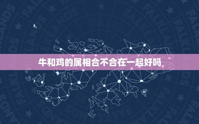 2024属牛,牛和鸡的属相合不合在一起好吗,易经网推荐【属牛】