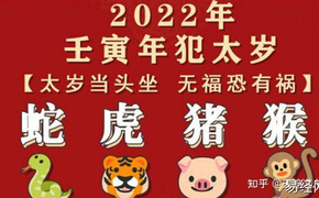 最新属蛇,2022年犯太岁的生肖虎，小心官司小人，罚款,易经网推荐【属蛇】