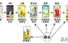 塔罗牌占卜时间变化牌阵占卜工作示例,最新塔罗牌