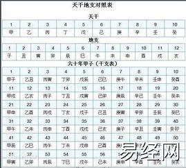 最新生肖,十二生肖 甲子历,万年历表查询表 ,易经网推荐生肖