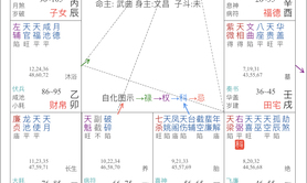 易经网推荐紫薇命盘 命宫太阳太阴 紫微斗数：命宫在午，天同、太阴,紫微斗数2024