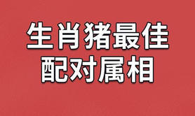 【生肖配对】属猪人最佳配偶属相(属猪和属羊的婚配),易经网推荐属相