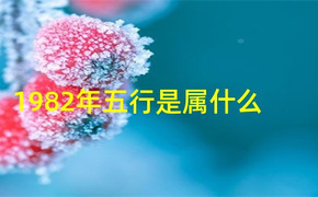 最新属狗,十一月份出生的属狗人属土，二月出生，五月出生,易经网推荐【属狗】