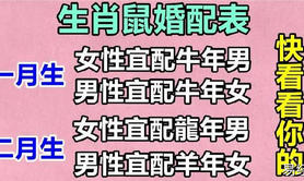 【生肖配对】属鼠的和什么属相最配(属鼠的最佳婚配属相)哔哩哔哩,易经网推荐属相