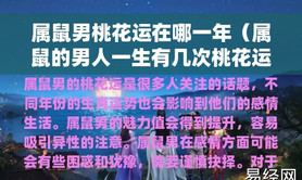 2024属鼠,属鼠的女生十二生肖配对分析，你配对了吗？,易经网推荐【属鼠】