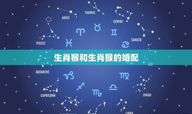 2024最新属相,1992属猴最佳结婚年龄中国婚博会官(属猴的最佳婚姻属相),易经网推荐属相