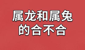 【生肖配对】兔和龙生肖婚姻般配(兔和龙婚姻配吗),易经网推荐属相