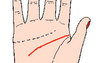 【手相智慧线】手相图解一下的推理思维和智谋情况，你知道吗？,易经网推荐手相智慧线