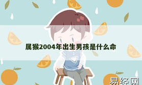 【属猴】属猴2004年出生男孩是什么命,2024生肖猴