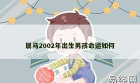 【属龙】属马2002年出生男孩命运如何,2024生肖龙