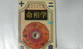 最新生肖,十二生肖生年命相,十二生肖年命格表 ,易经网推荐生肖