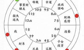 易经网推荐（李向东）十二宫命宫的性格特点及作用！,紫微斗数2024