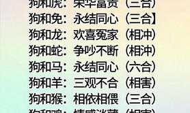 【婚配相冲】十二生肖配对排行，揭秘最佳婚配组合！,易经网推荐婚配相冲