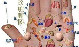 2024最新手相纹理,掌纹密码揭示：解码健康奥秘的复杂指纹图示,易经网推荐手相纹理