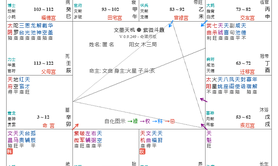 【紫微斗数】紫微斗数案例擂台赛（第八期）答案+解析,易经网推荐紫微斗数