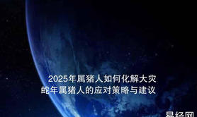 【生肖】2025年属猪人如何化解大灾？蛇年属猪人的应对策略与建议,易经网推荐生肖运势