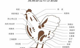 【属鸡】生肖鸡近期出生者性格特点分析,易经网推荐生肖属鸡