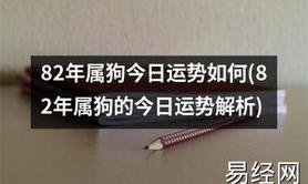 【属狗】属狗人今日运势详解：08月08日运势一览,易经网推荐生肖属狗