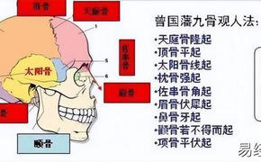 最新面相手相,面相头骨名称图解 面相头骨图片,易经网推荐手相面相