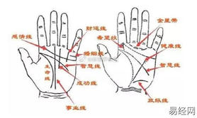 2024最新手相纹理,事业至上，家庭忽视之手相特征,易经网推荐手相纹理
