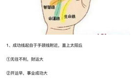 最新面相手相,怎么查看手相 怎么查手相,易经网推荐手相面相