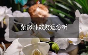 最新紫微斗数,风水堂：钱财宫化禄的分缘来财热烙.易经网推荐紫微斗数