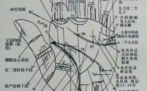 最新面相手相,男人什么手相最好 男人苦命的手相图片,易经网推荐手相面相