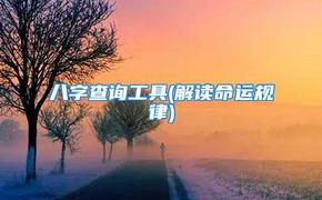 最新紫微斗数,易奇八字算命大师V2.9.7版重磅上线！.易经网推荐紫微斗数