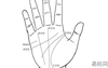 最新手相面相,手相事業線的意義,易经网最新推荐手相面相