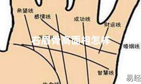 [2024面相图解],右眉骨高面相怎样,易经网推荐面相图解