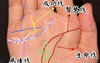 最新手相面相,手相直线代表什么命格 手相斜着一条直线,易经网推荐