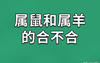 【属猴】15周岁属什么生肖(15岁属什么的生肖)卦否,易经网推荐生肖属猴