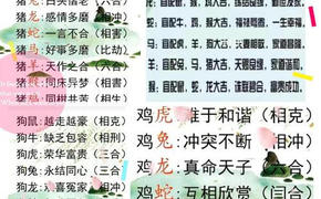 最新面相手相,面面相窥的生肖是什么 窥打一生肖,易经网推荐手相面相