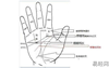 最新手相面相,手相智慧线看你的身体健康情况,易经网最新推荐手相面相
