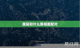 【生肖运势】属鼠的和什么属相最配相克相冲呢啊-属鼠的跟什么属相相克 ,易经网推荐生肖运势