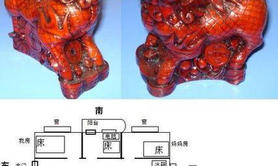 最新风水,家中财位可以养动物吗风水好吗 家里养什么动物招财旺财,易经网推荐风水